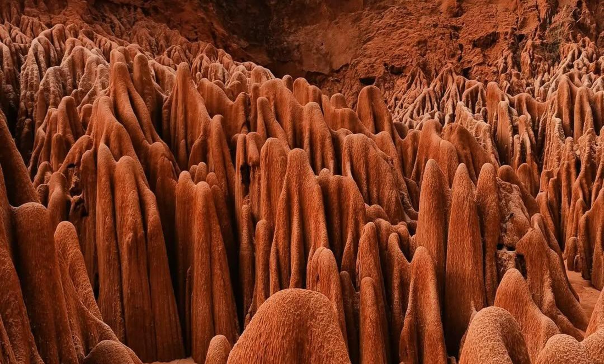 Northern Madagascar Tour