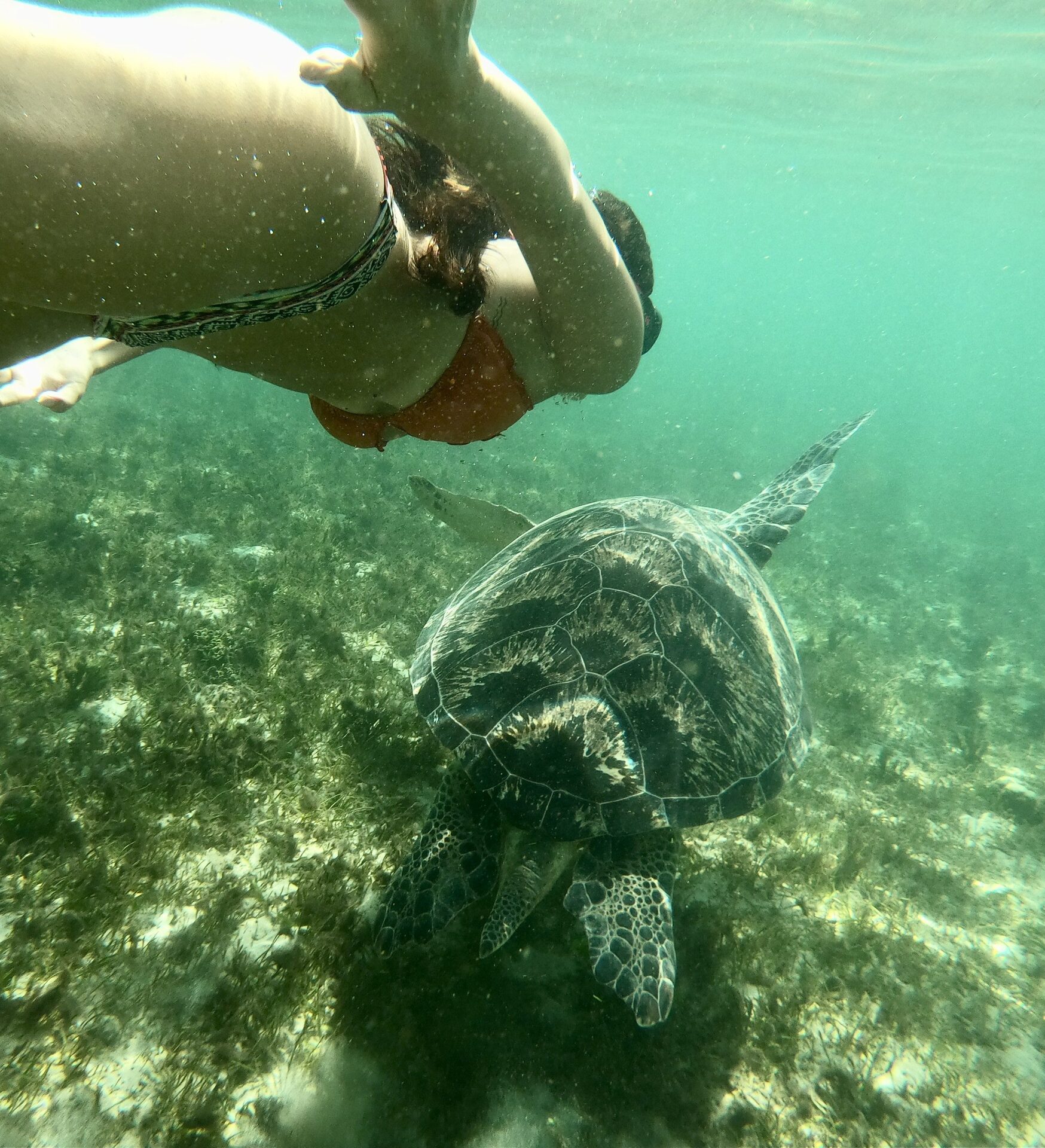 Nosy Sakatia Excursion